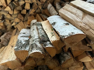 Дрова берёзовые